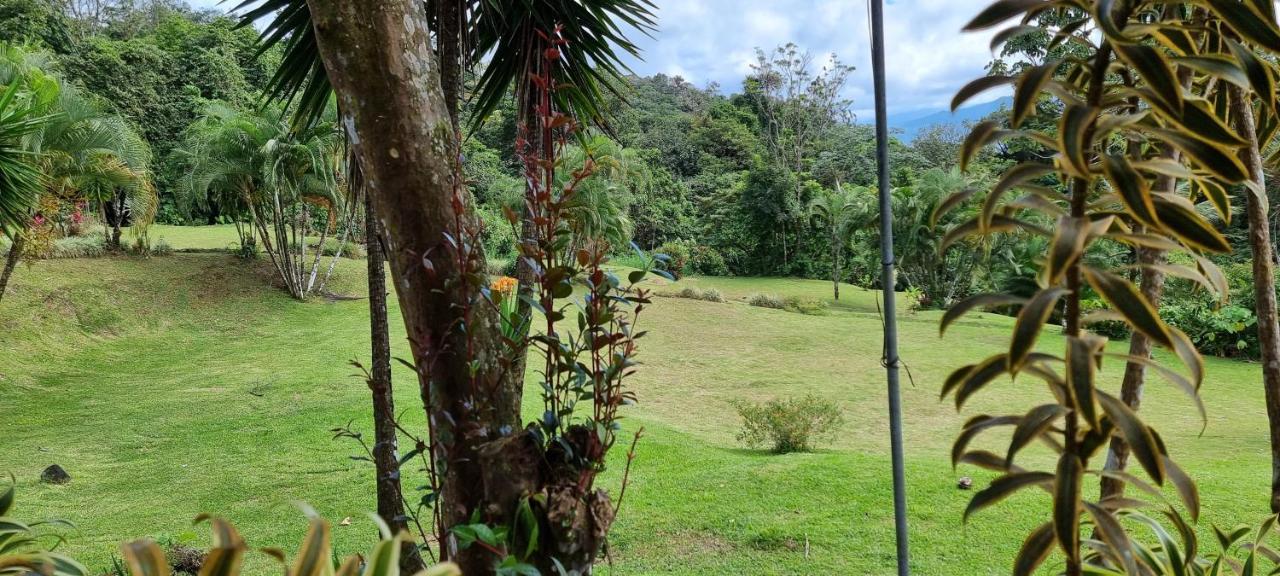 Hotel La Rana De Arenal Nuevo Arenal Extérieur photo