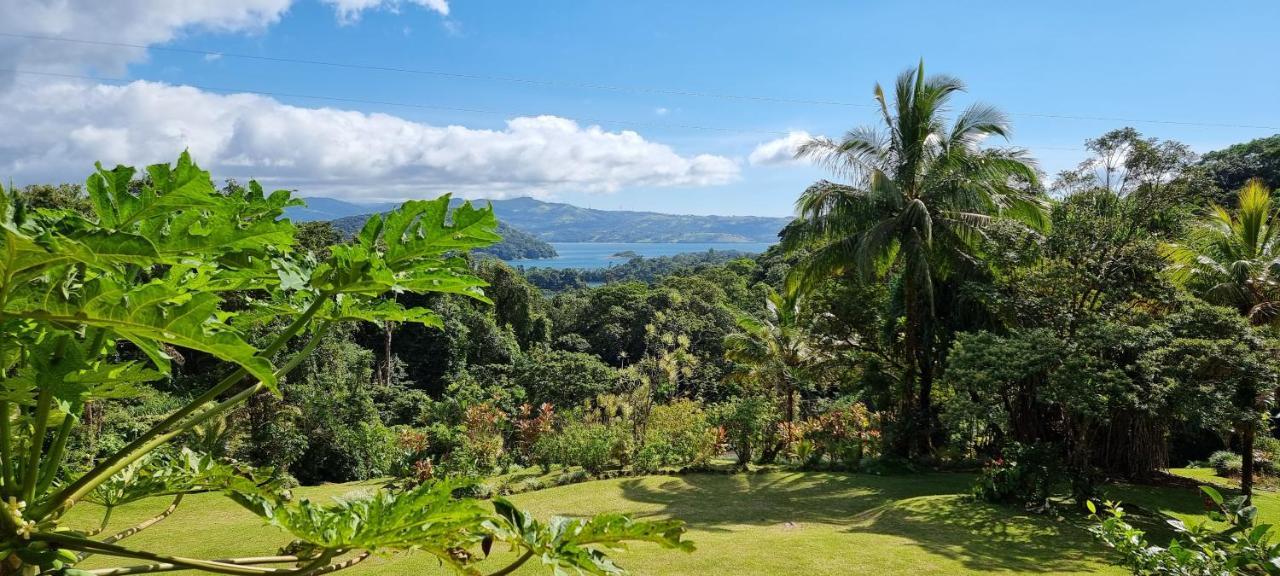 Hotel La Rana De Arenal Nuevo Arenal Extérieur photo