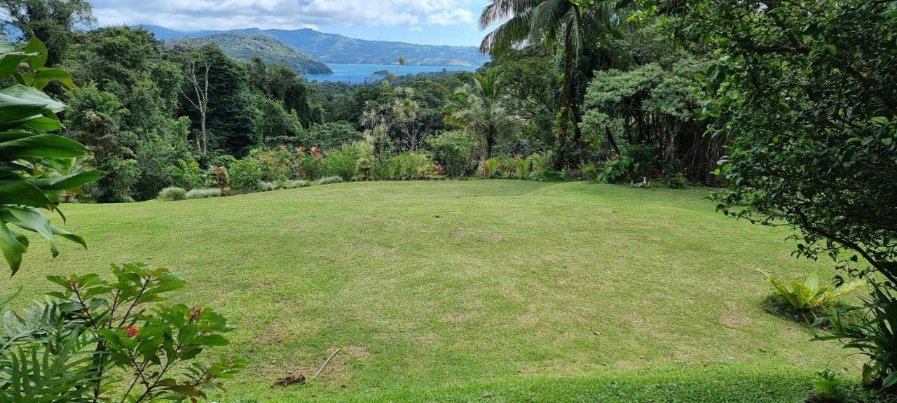 Hotel La Rana De Arenal Nuevo Arenal Extérieur photo