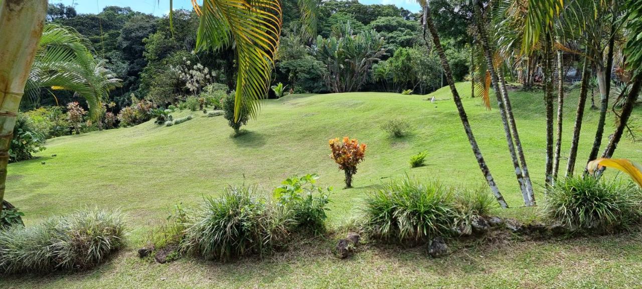 Hotel La Rana De Arenal Nuevo Arenal Extérieur photo
