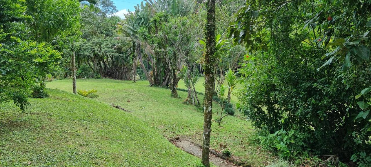 Hotel La Rana De Arenal Nuevo Arenal Extérieur photo