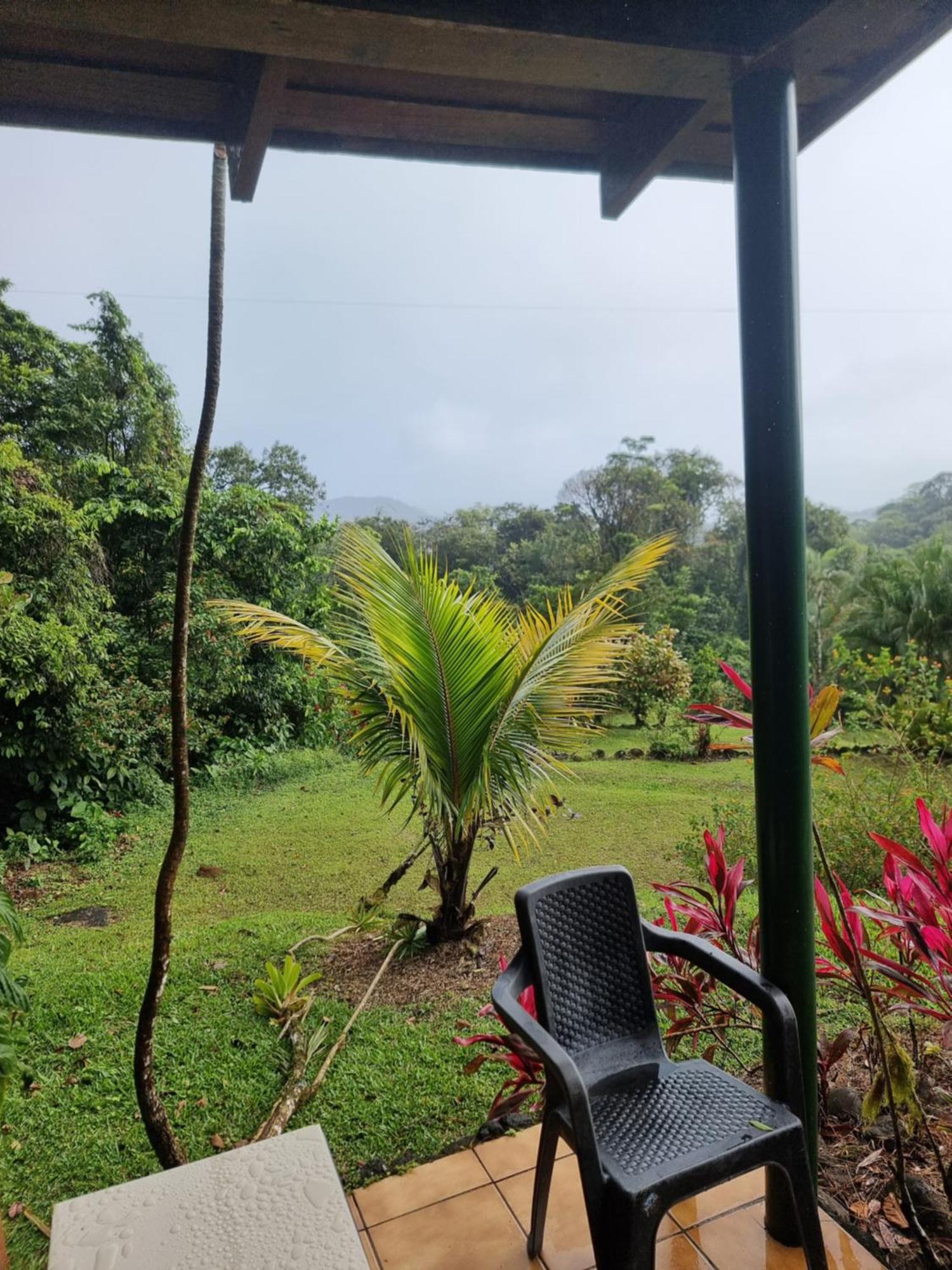 Hotel La Rana De Arenal Nuevo Arenal Extérieur photo