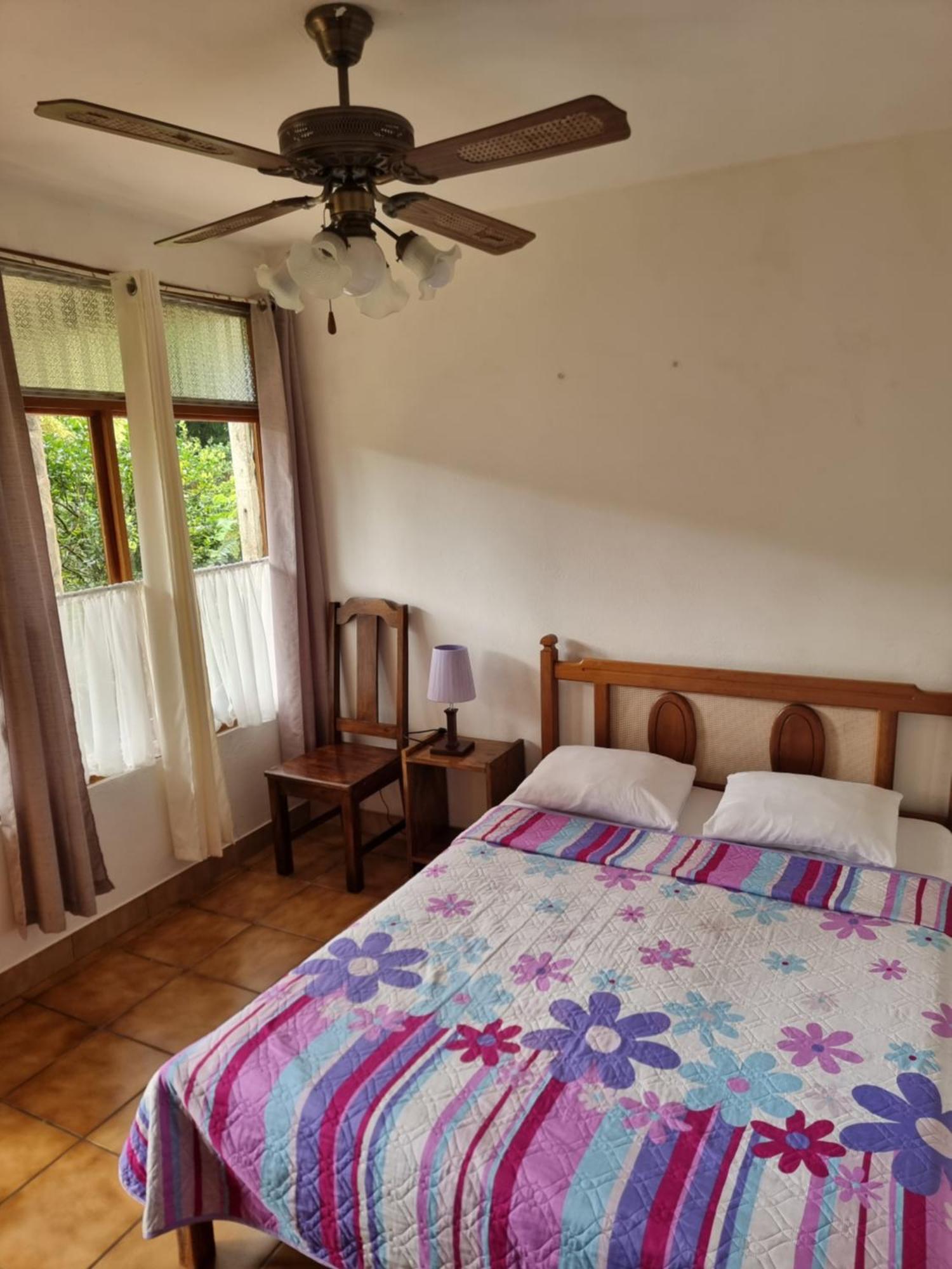 Hotel La Rana De Arenal Nuevo Arenal Extérieur photo