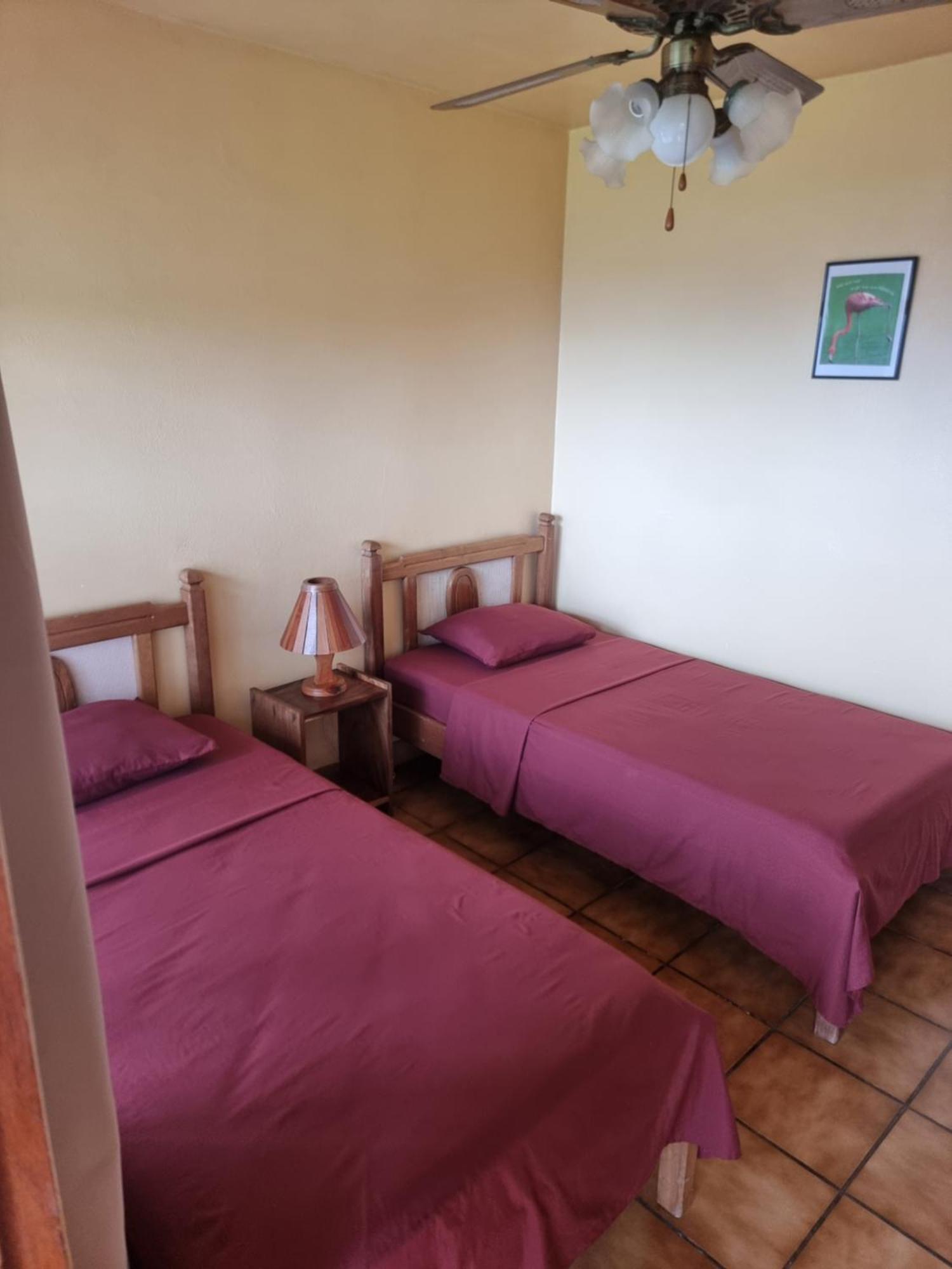 Hotel La Rana De Arenal Nuevo Arenal Extérieur photo