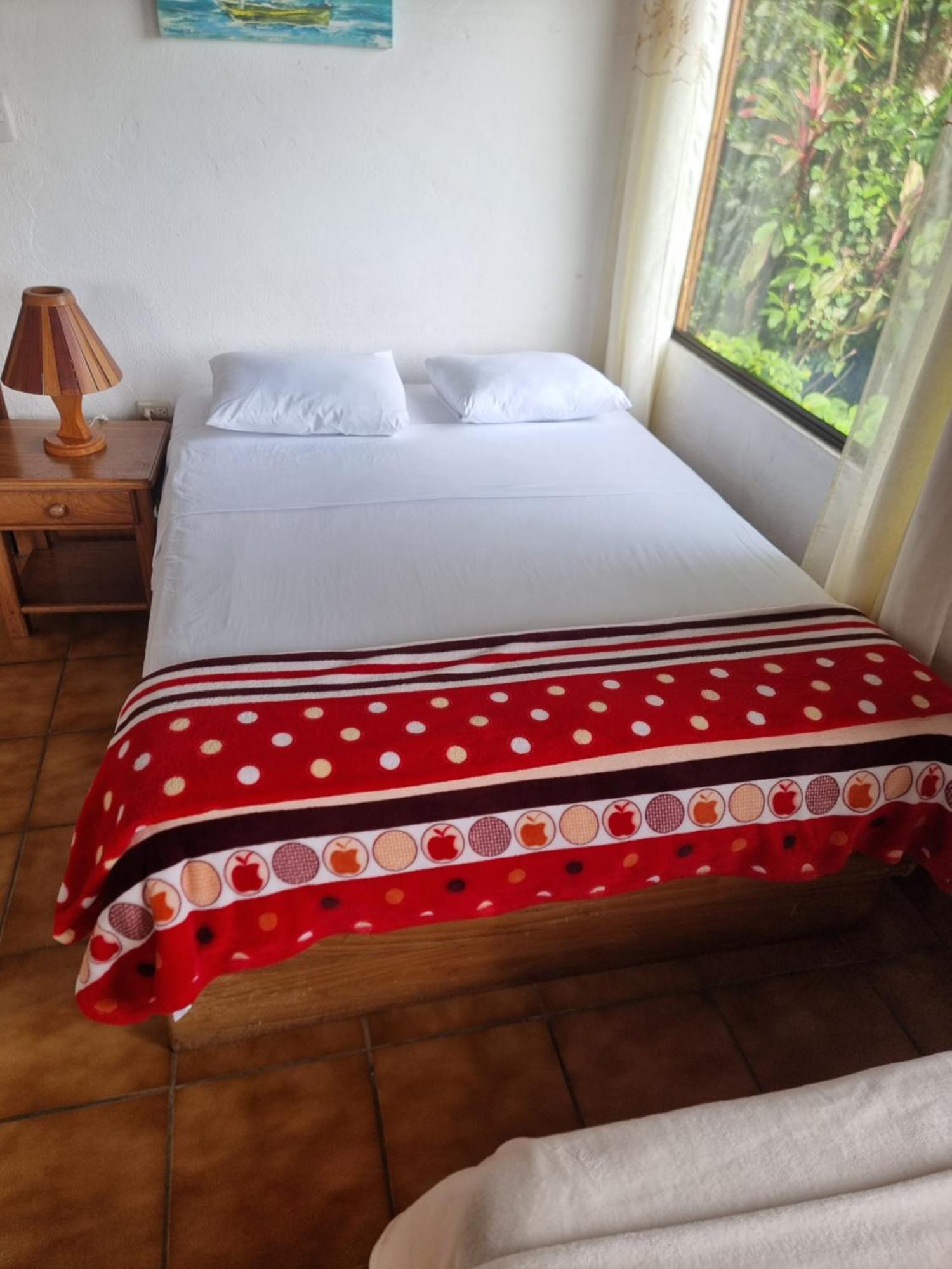 Hotel La Rana De Arenal Nuevo Arenal Extérieur photo