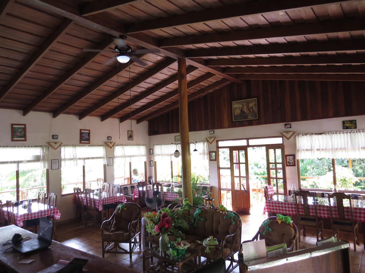 Hotel La Rana De Arenal Nuevo Arenal Extérieur photo