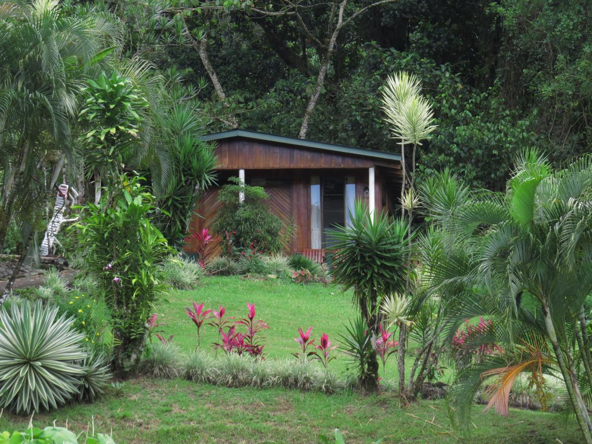Hotel La Rana De Arenal Nuevo Arenal Extérieur photo